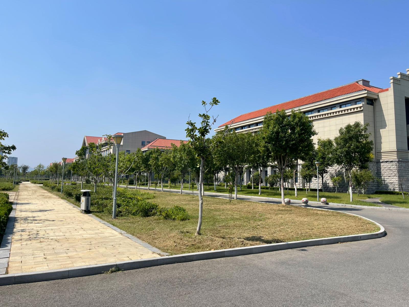 山东大学的校园